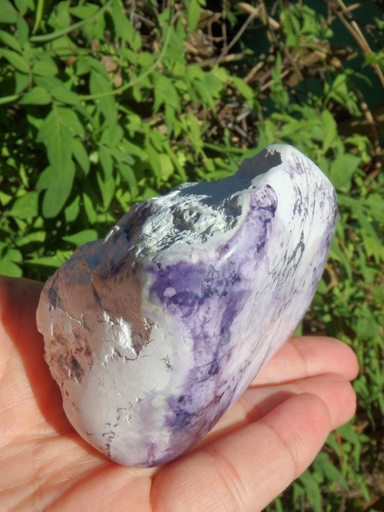 Rare! Gorgeous Pastel Purple & White Patterns Partially Polished Tiffany Stone Standing Specimen - Earth Family Crystals