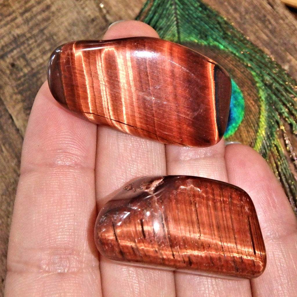 Set of 2 Red & Golden Tiger Eye Tumbled Pocket Stones - Earth Family Crystals