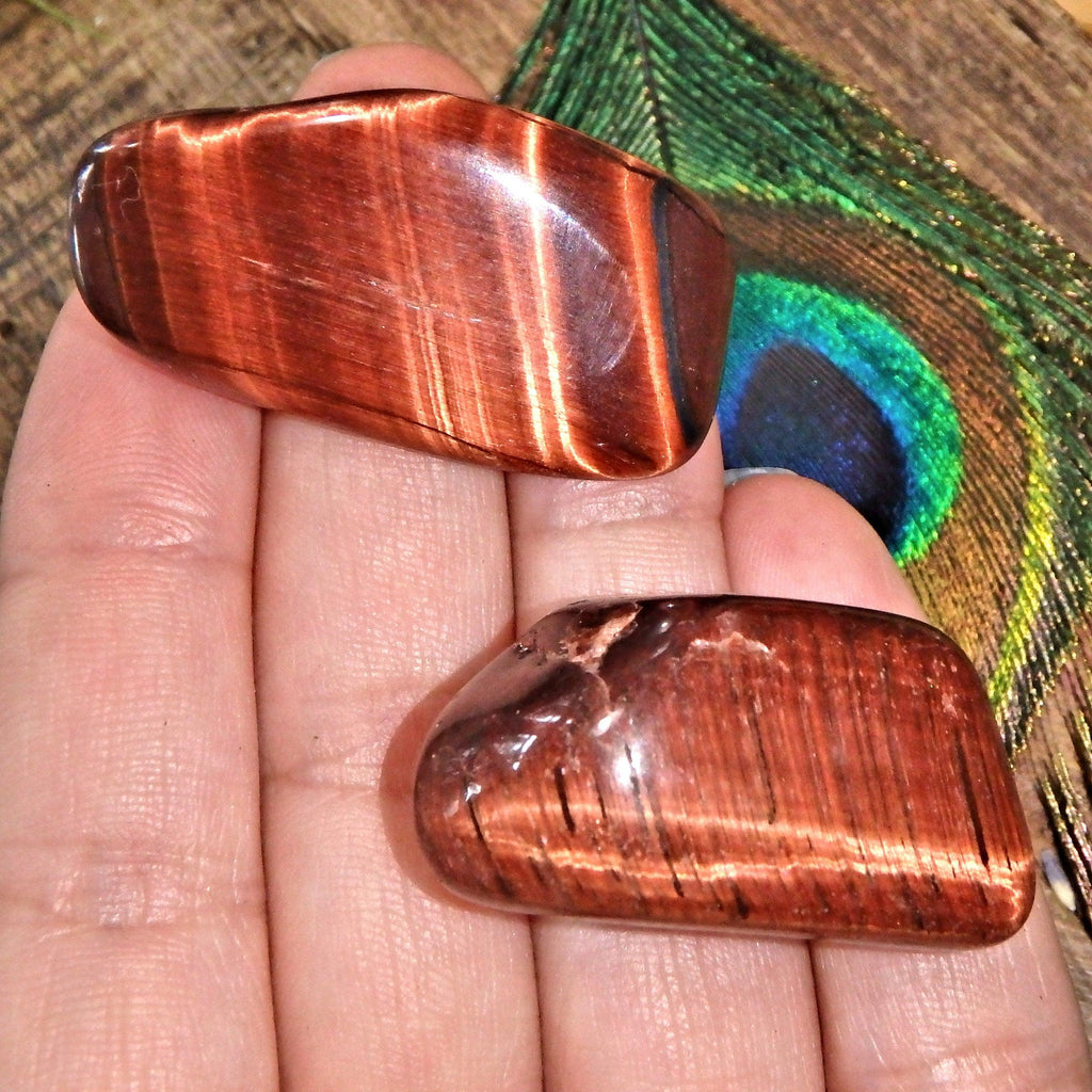 Set of 2 Red & Golden Tiger Eye Tumbled Pocket Stones - Earth Family Crystals