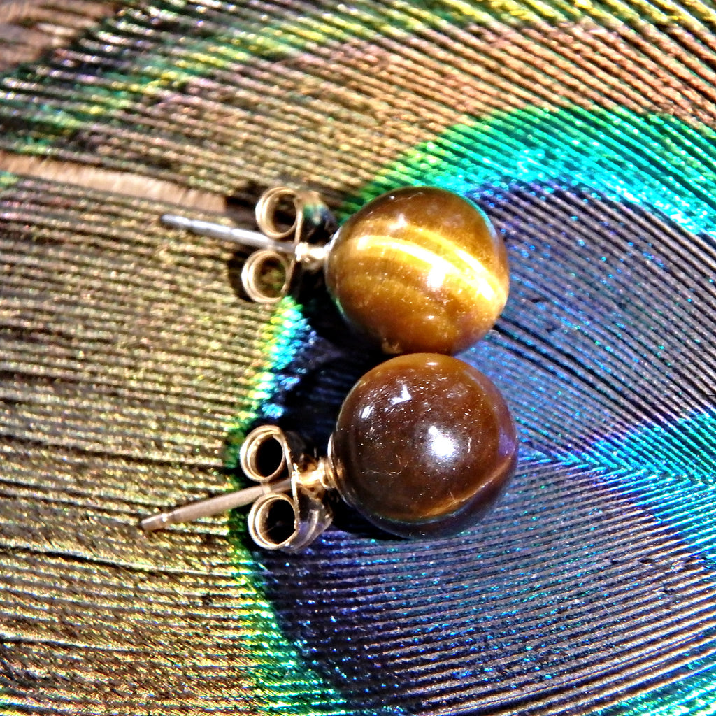 Golden Tiger Eye Gold Fill Stud Earrings - Earth Family Crystals