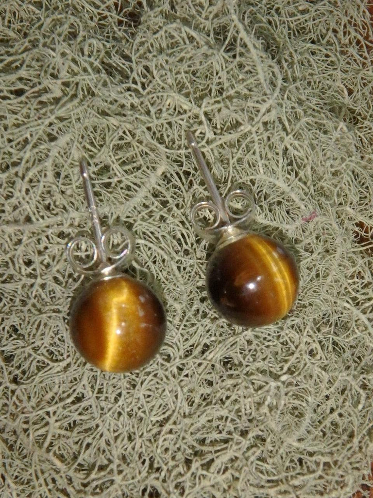 Golden Tiger Eye Stud Earrings in Sterling Silver - Earth Family Crystals