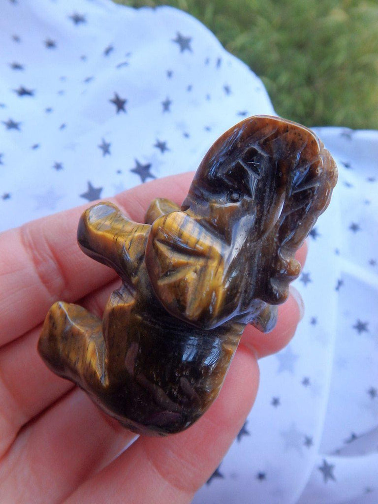 Cute Tiger Eye Elephant Carving - Earth Family Crystals