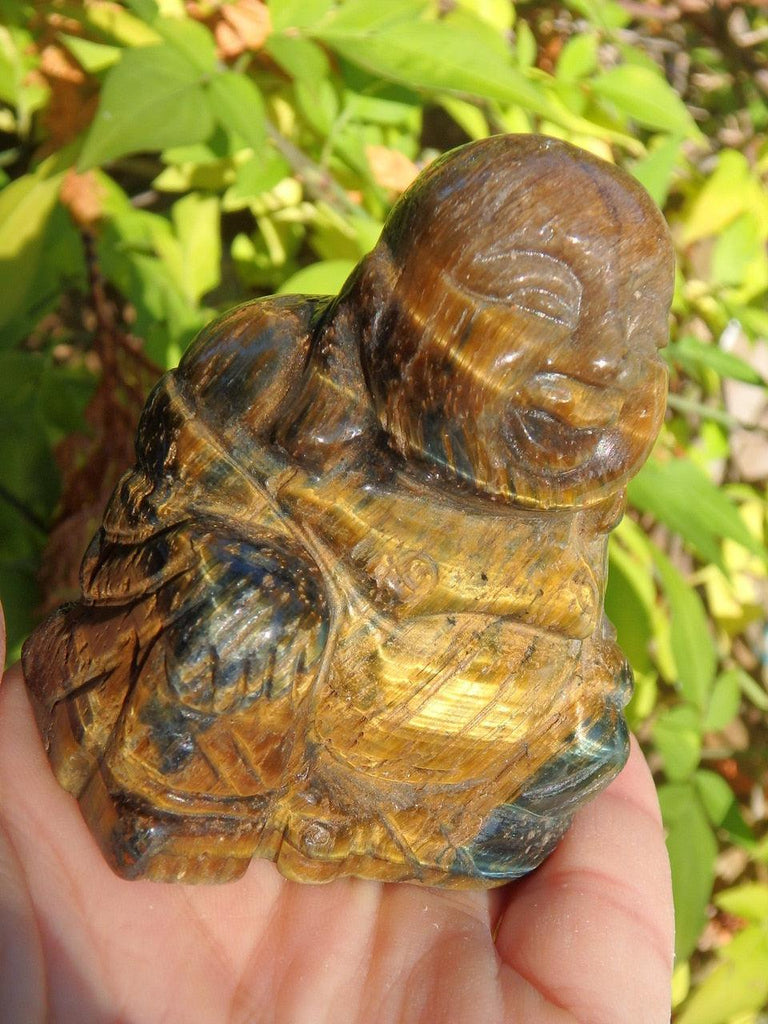 Happy Buddha Carving in Tiger Eye - Earth Family Crystals