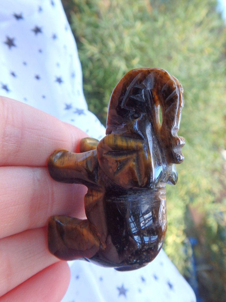 Cute Tiger Eye Elephant Carving - Earth Family Crystals