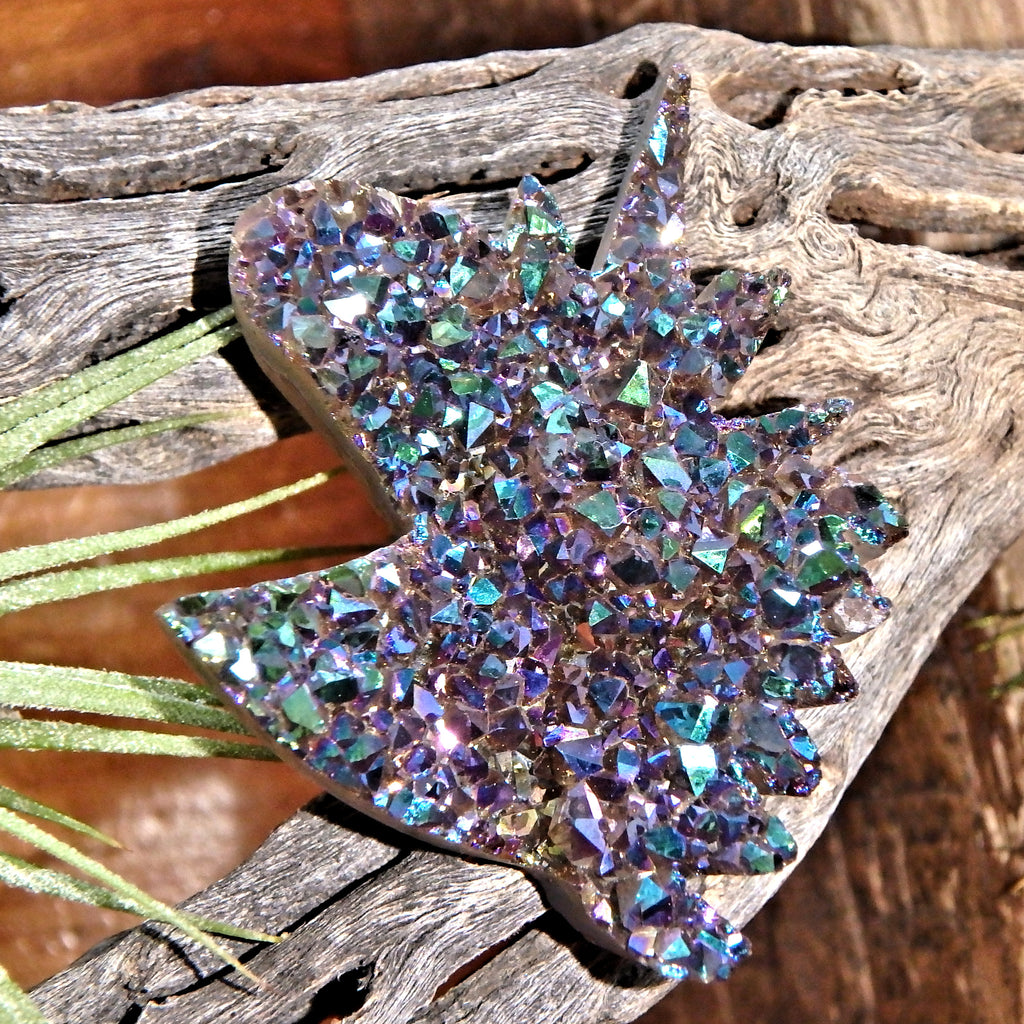 Magical Titanium Infused Aura Druzy Unicorn Carving Specimen 1 - Earth Family Crystals