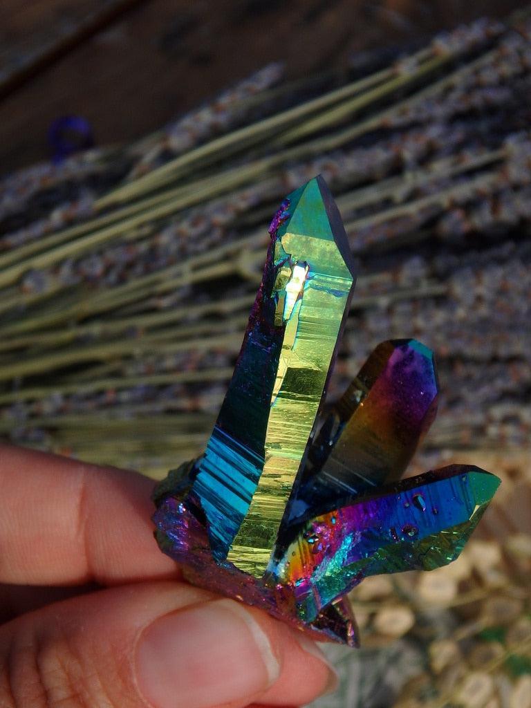 Titanium Quartz Cluster 11 - Earth Family Crystals
