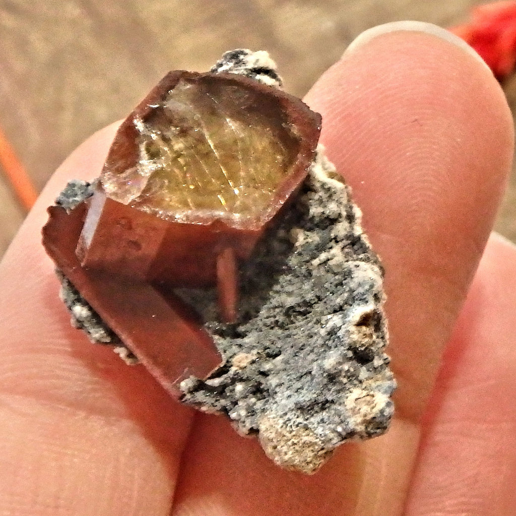 Deep Orange Topaz on Dainty Matrix From Mexico - Earth Family Crystals