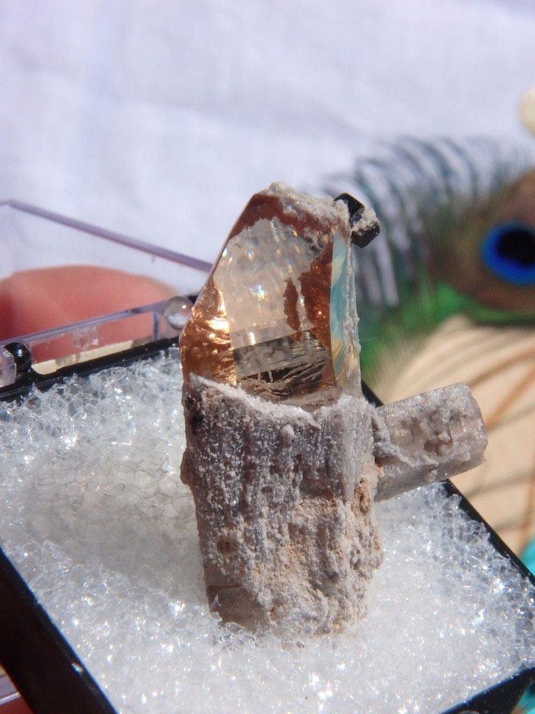 Amazing Golden Topaz & Bixbyite In Collectors Box - Earth Family Crystals