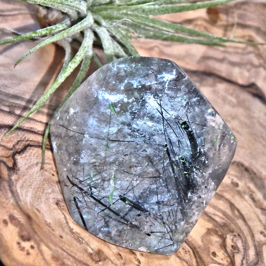 Midnight Light Tourmalated Himalayan Quartz Standing Free Form 2 - Earth Family Crystals