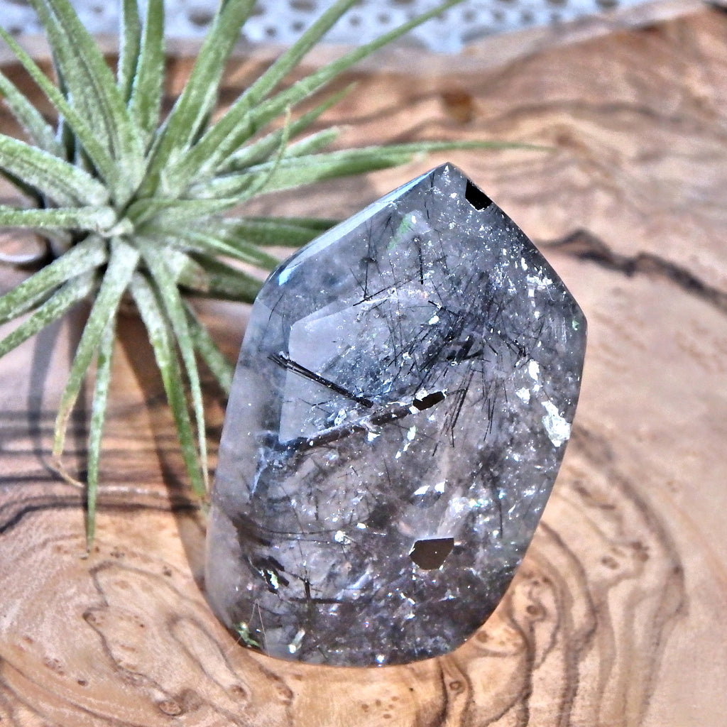 Midnight Light Tourmalated Himalayan Quartz Standing Free Form 1 - Earth Family Crystals