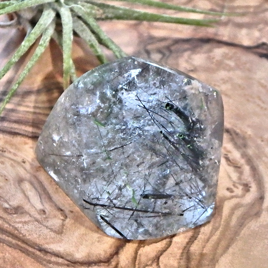 Midnight Light Tourmalated Himalayan Quartz Standing Free Form 2 - Earth Family Crystals