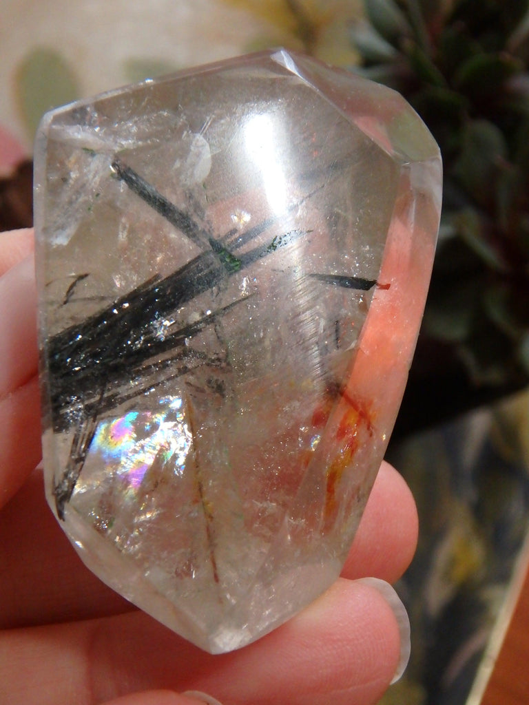 Polished Tourmalated Himalayan Quartz Free Form Specimen 1 - Earth Family Crystals