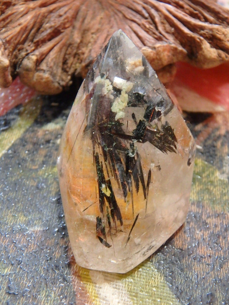 Polished Tourmalated Himalayan Quartz Free Form Specimen 2 - Earth Family Crystals