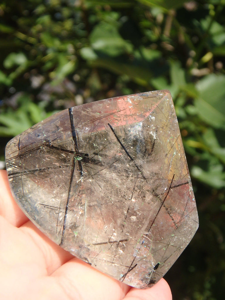RESERVED FOR TRACY~ Gorgeous Himalayan Tourmalated Quartz Standing Specimen From India REDUCED - Earth Family Crystals