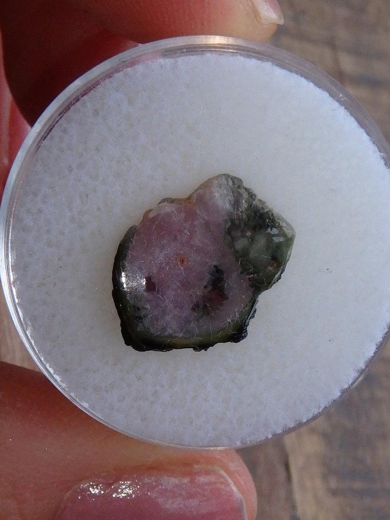 Watermelon Tourmaline Slice Collectors Specimen From Brazil - Earth Family Crystals