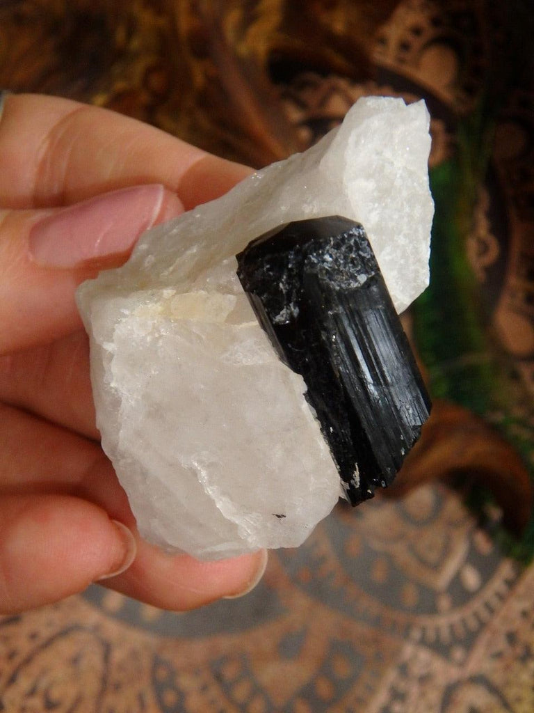 Stunning Black Tourmaline Point Nestled in Creamy Quartz Matrix From Brazil - Earth Family Crystals