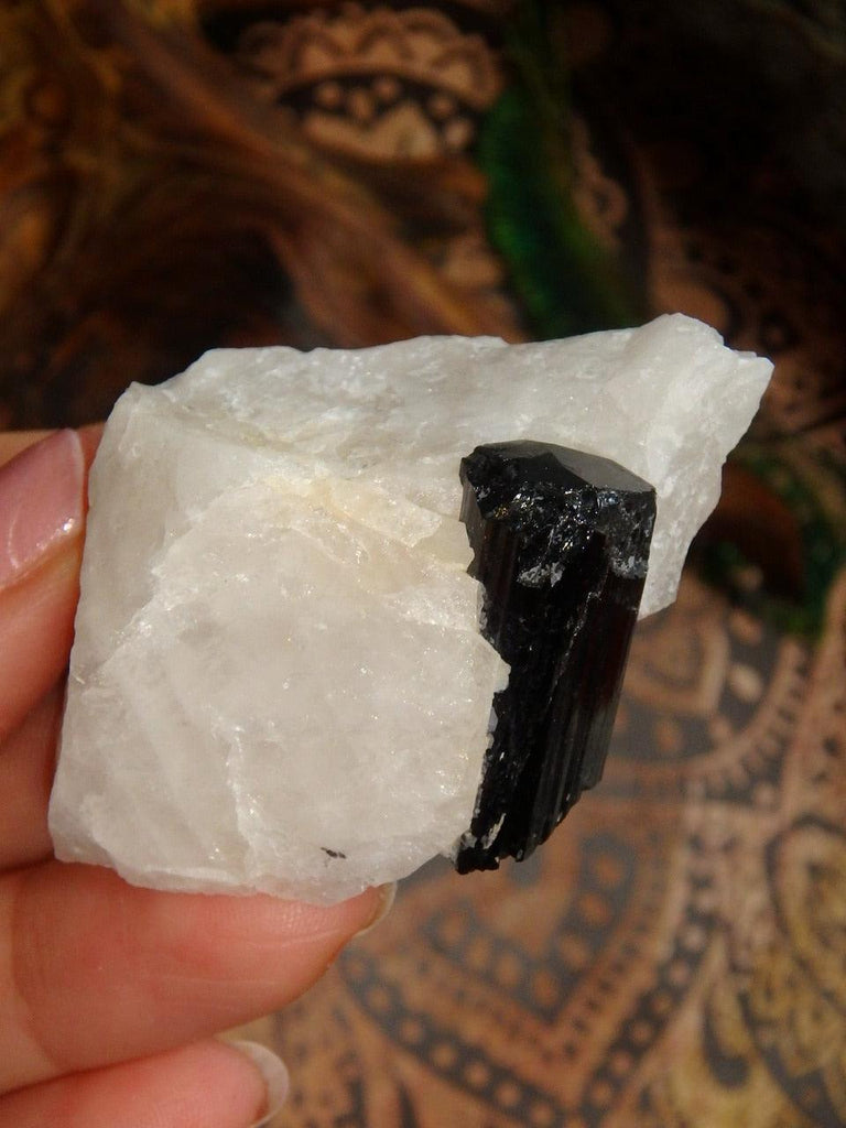 Stunning Black Tourmaline Point Nestled in Creamy Quartz Matrix From Brazil - Earth Family Crystals