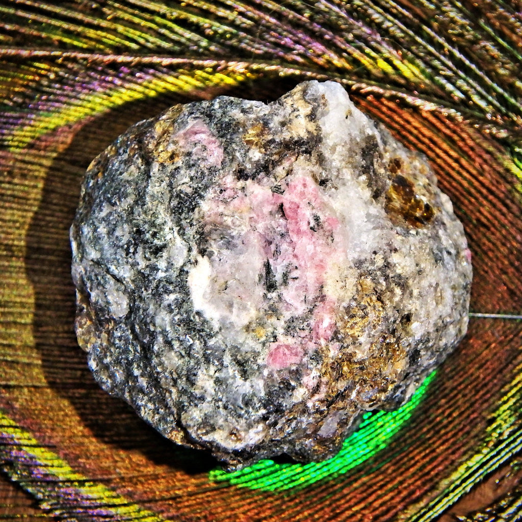 Rare Cranberry Pink Tugtupite in Matrix From Greenland- Hand Harvested in 2015 - Earth Family Crystals
