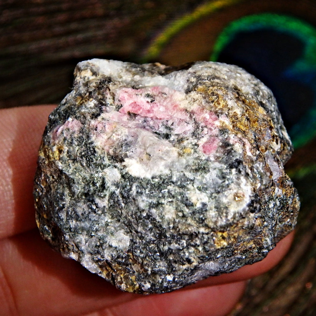 Rare Cranberry Pink Tugtupite in Matrix From Greenland- Hand Harvested in 2015 - Earth Family Crystals