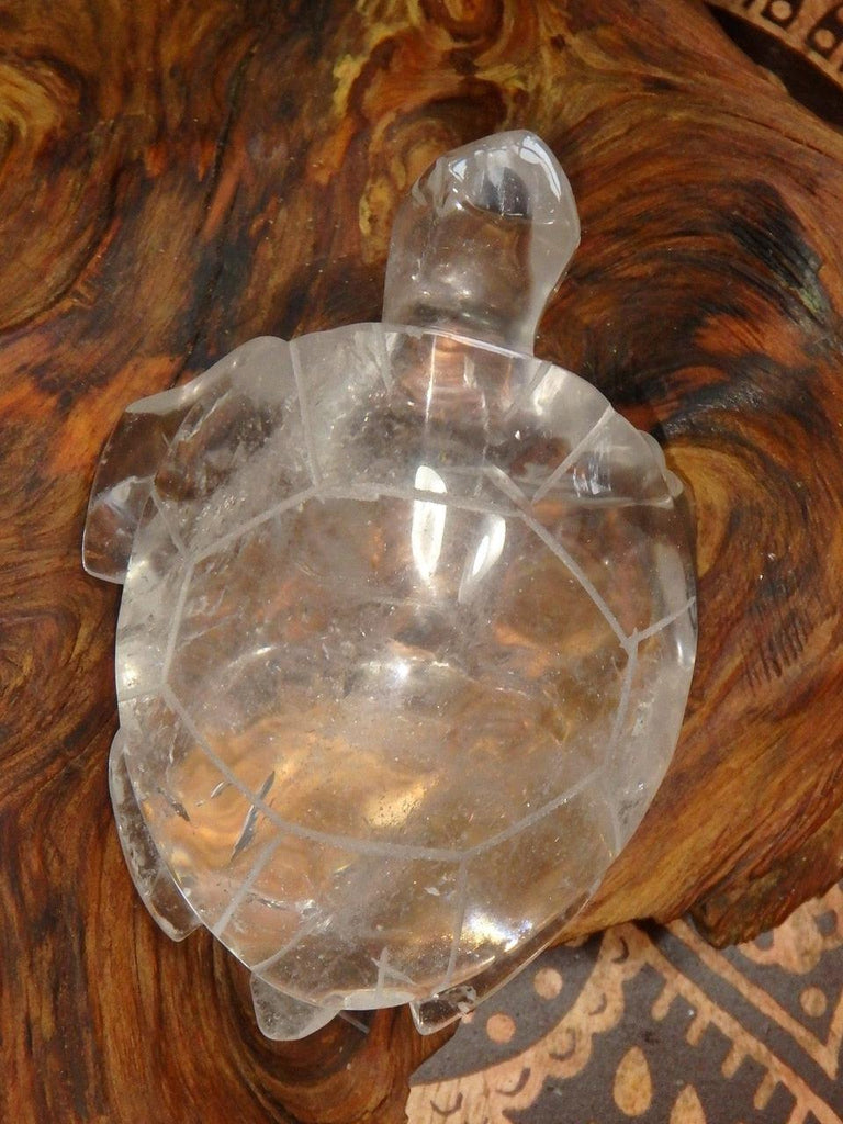 Special Fellow! Stunning Clear Quartz Turtle Carving - Earth Family Crystals