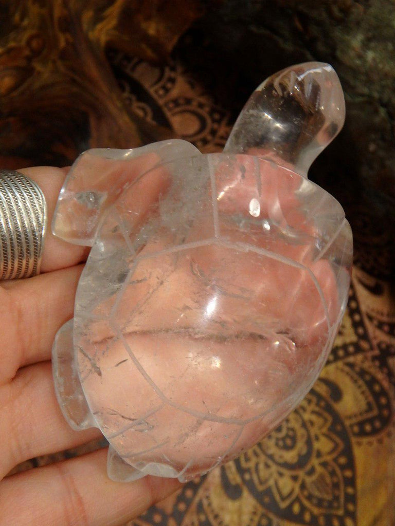 Special Fellow! Stunning Clear Quartz Turtle Carving - Earth Family Crystals