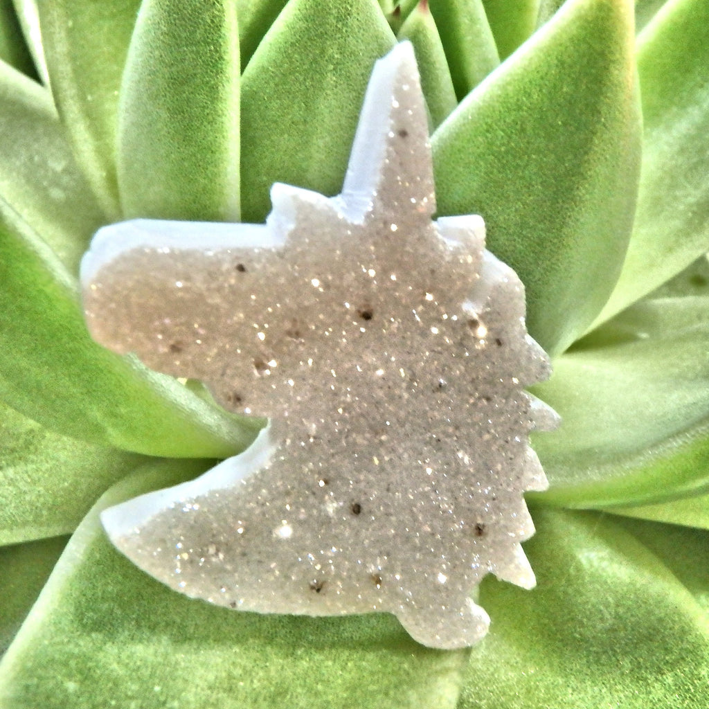 Angel Aura Sparkle Quartz Unicorn Carving Specimen - Earth Family Crystals