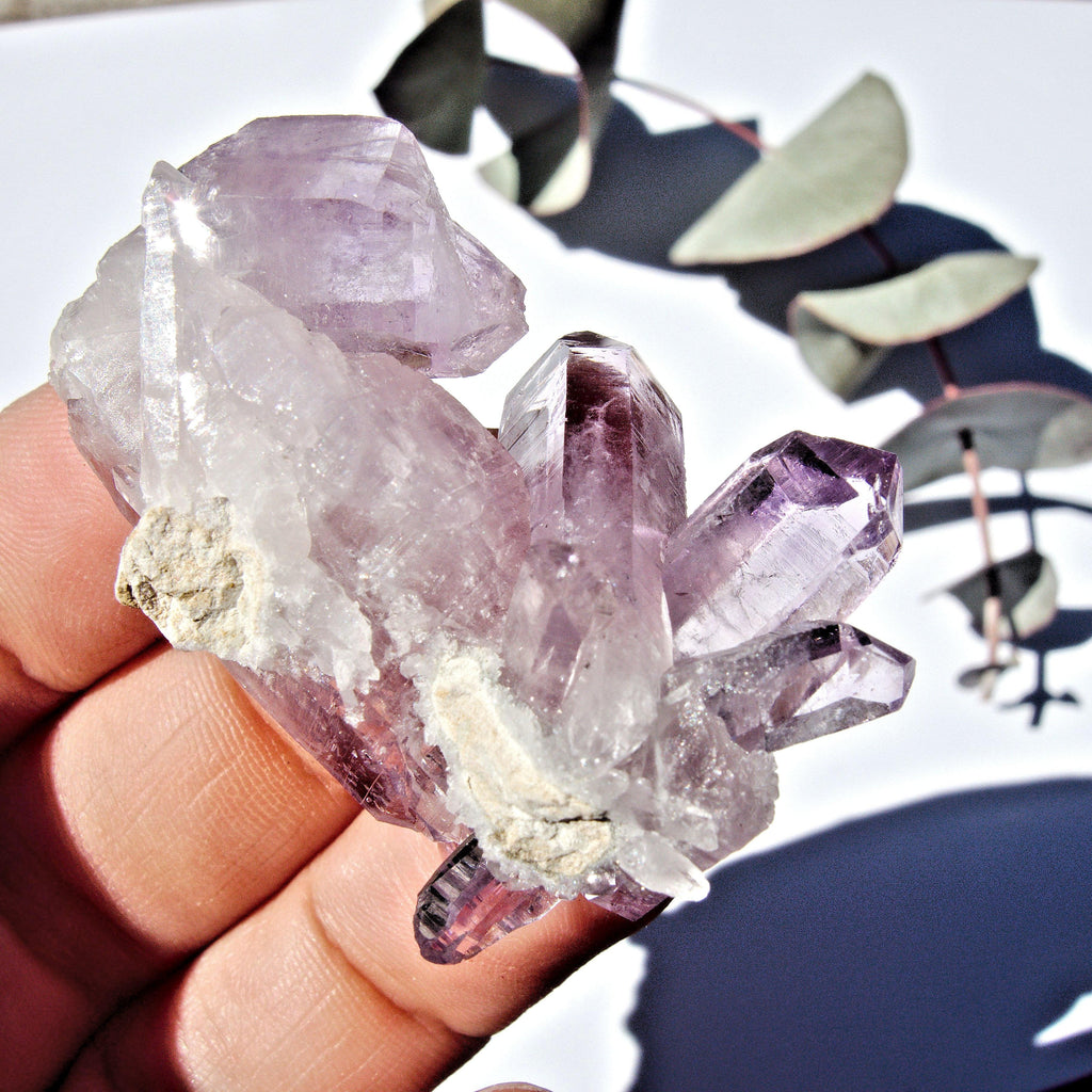 Vera Cruz Amethyst Double Terminated Point Cluster From Mexico #1 - Earth Family Crystals
