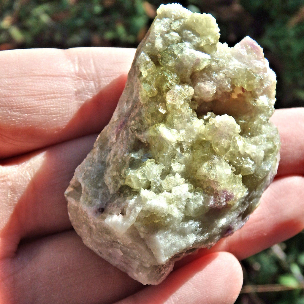 Shimmering Druzy Points Geode Vesuvanite Natural Specimen From Quebec - Earth Family Crystals