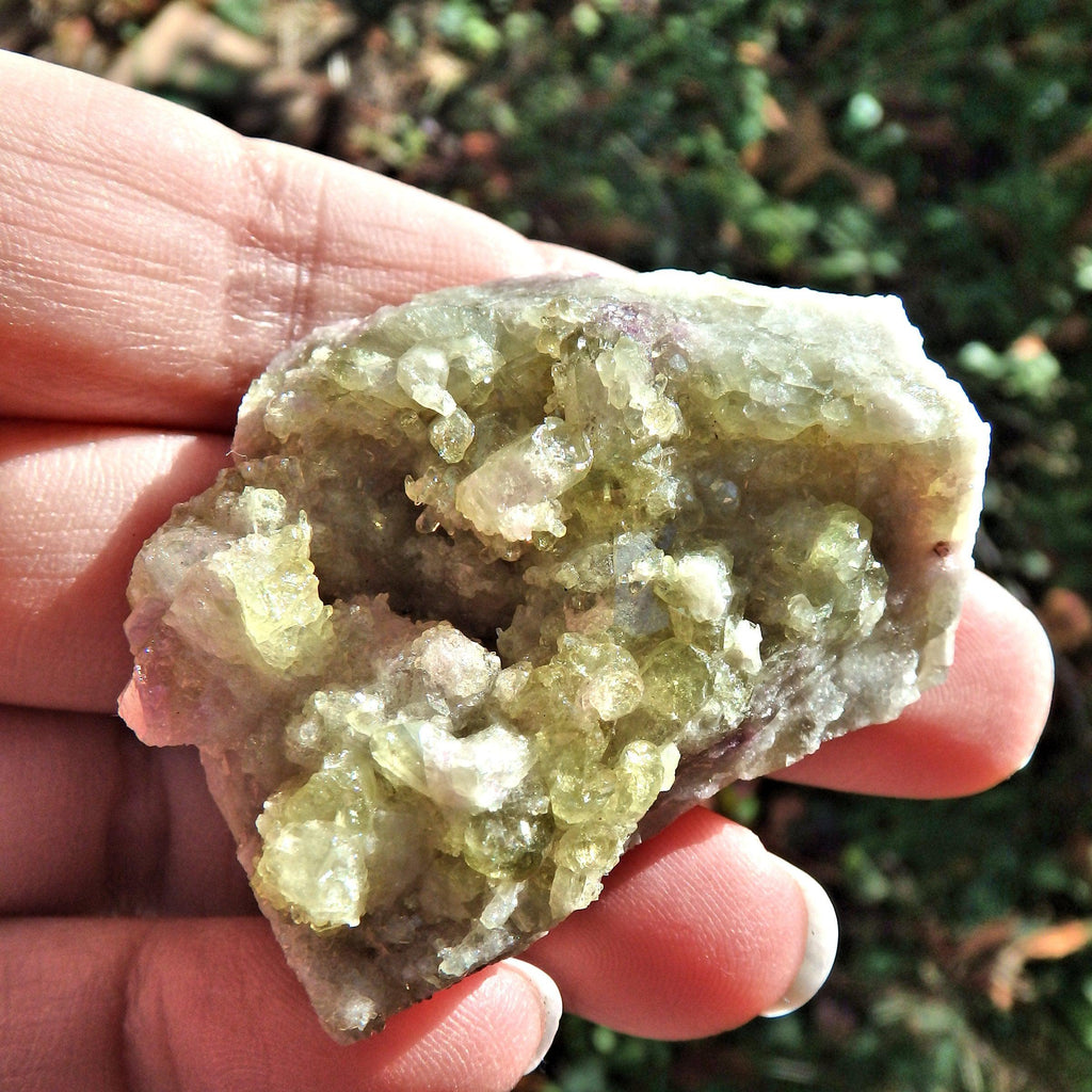 Shimmering Druzy Points Geode Vesuvanite Natural Specimen From Quebec - Earth Family Crystals