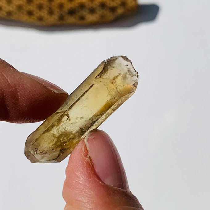 Natural Citrine Point From Zambia #1 - Earth Family Crystals