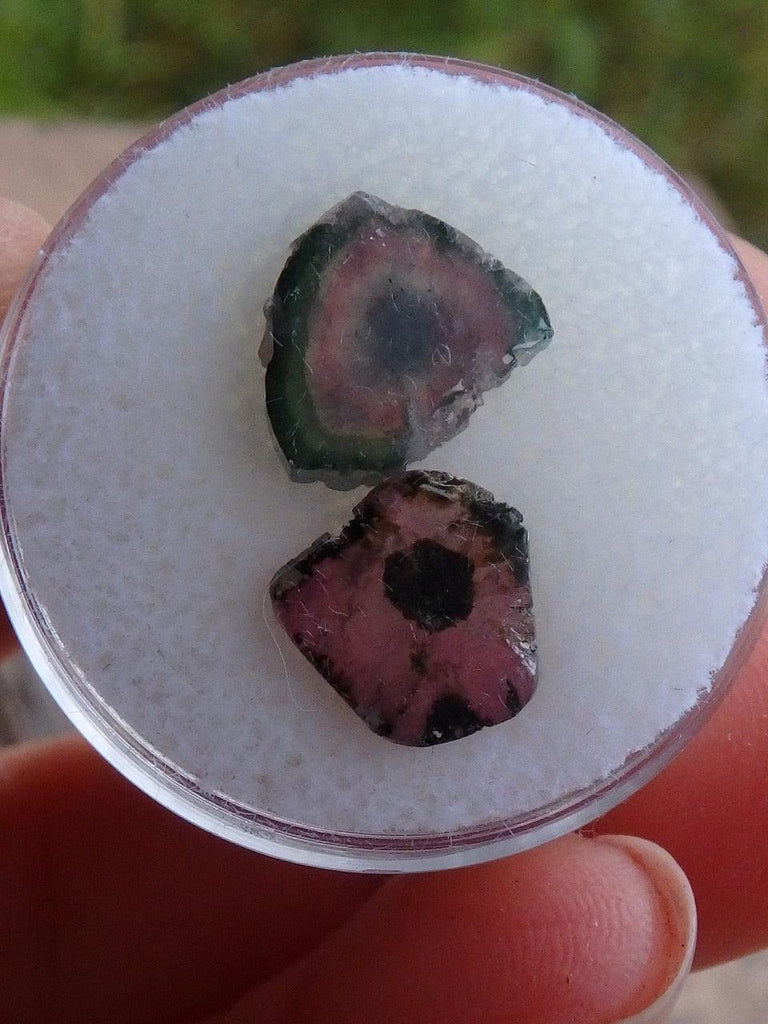 Pink Tourmaline & Watermelon Tourmaline Slice Collectors Set From Brazil - Earth Family Crystals