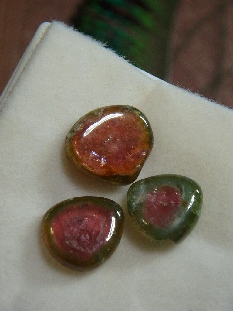Set of Three Polished Watermelon Tourmaline Slices - Earth Family Crystals