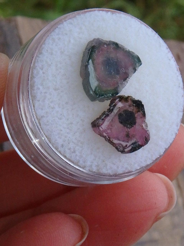Pink Tourmaline & Watermelon Tourmaline Slice Collectors Set From Brazil - Earth Family Crystals