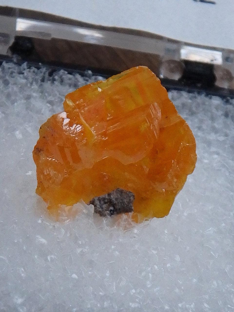 Vibrant Orange Wulfenite Specimen in Collectors Box From Pima Co, Az - Earth Family Crystals