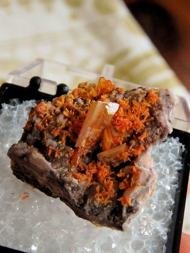 Orange Wulfenite & Mimetite in Collectors Box From Rowley Mine, Theba, Arizona - Earth Family Crystals
