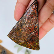 Sparkling Golden Red & Green Ammolite Chunky Free Form From Alberta - Earth Family Crystals