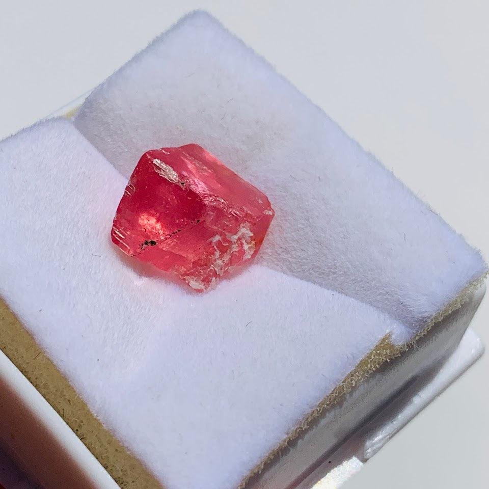 Hot Pink~Rare Single Gemmy Rhodochrosite Crystal from Alma, Co in Collectors Box #1 - Earth Family Crystals