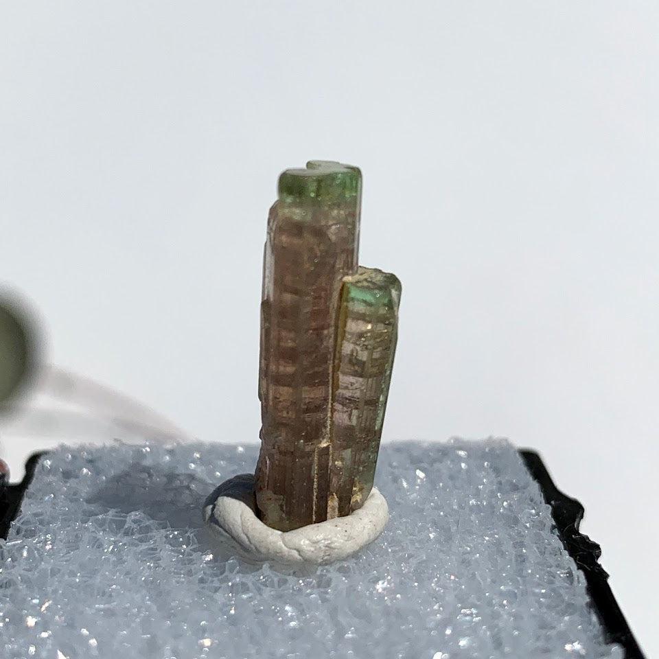 Rare Gemmy Watermelon Tourmaline Point From Brazil in Collectors Box #2 - Earth Family Crystals