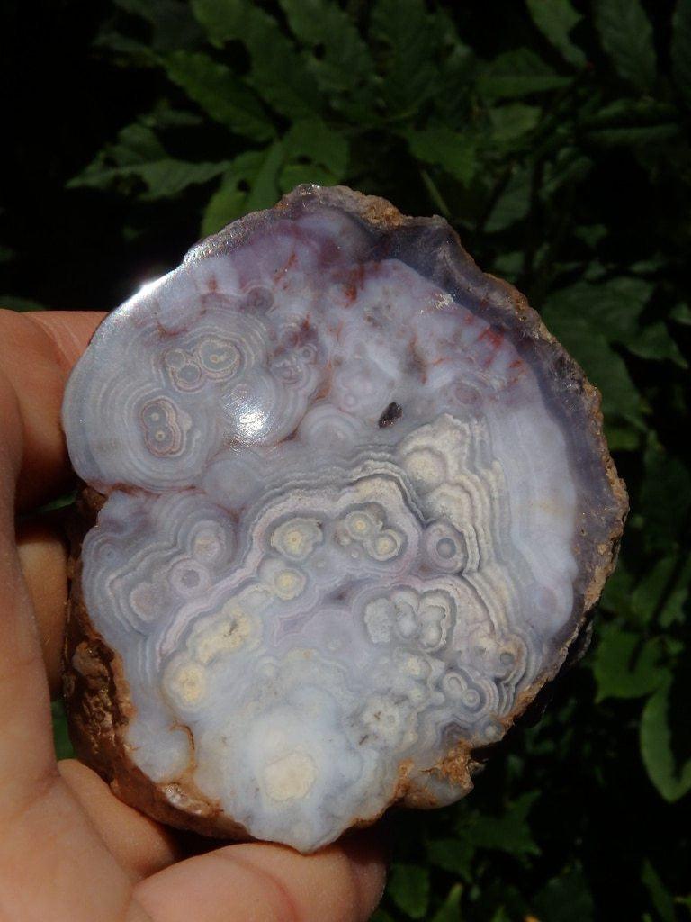 Dreamy White Swirls Agate Specimen Partially Polished - Earth Family Crystals