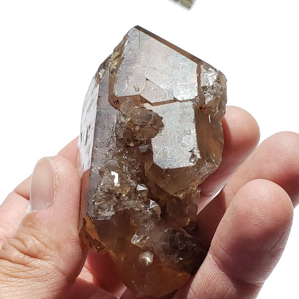 Large Gorgeous Elestial DT Smoky Quartz Specimen With Druzy From Brazil - Earth Family Crystals