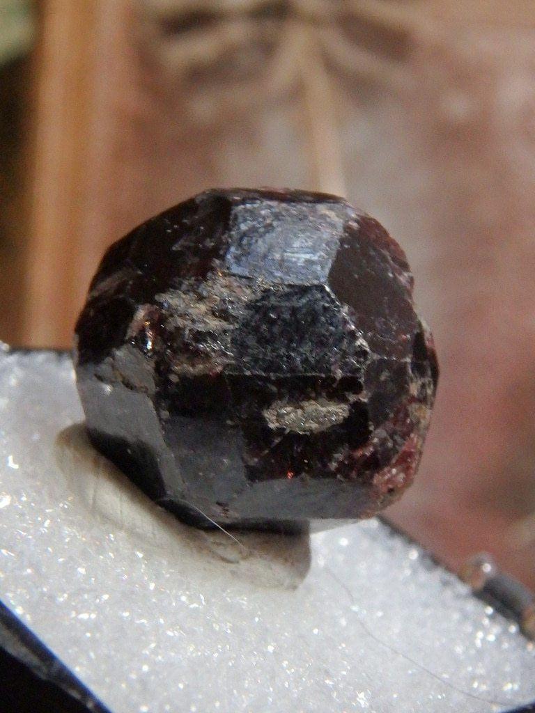 Dark Burgundy Almandine Garnet From Emerald Creek, Idaho In Collectors Box - Earth Family Crystals