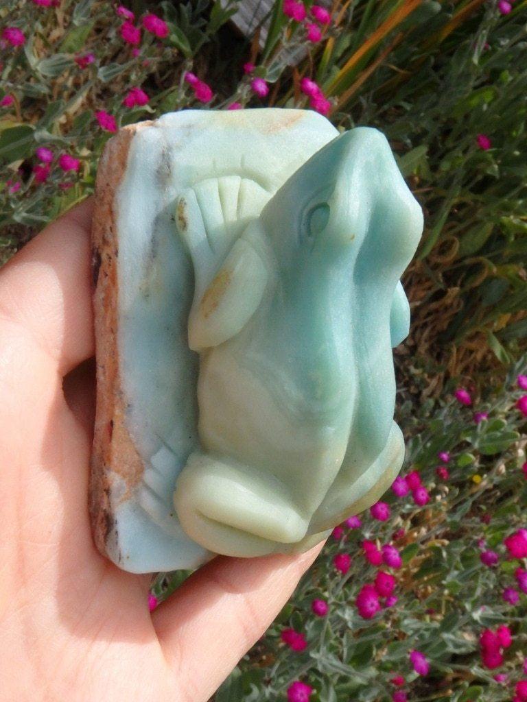 Absolutely Adorable Blue-Green Amazonite Gemstone Frog Carving - Earth Family Crystals