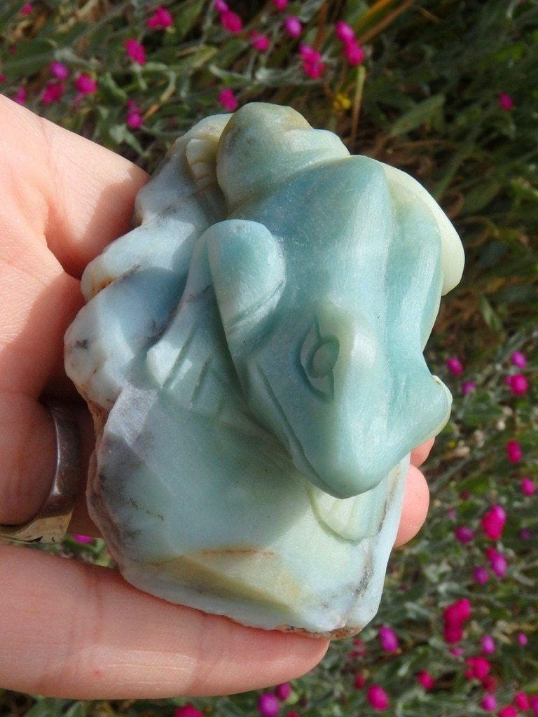 Absolutely Adorable Blue-Green Amazonite Gemstone Frog Carving - Earth Family Crystals