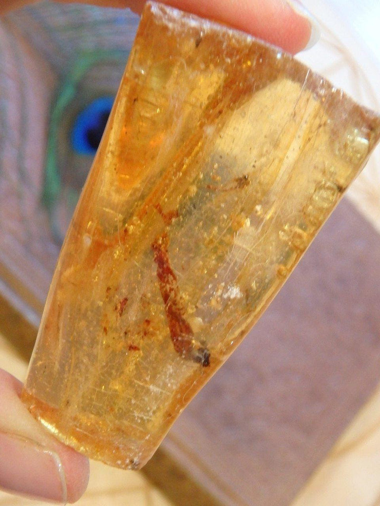 Bug Inclusions! Golden Colombian Amber Specimen 1 - Earth Family Crystals