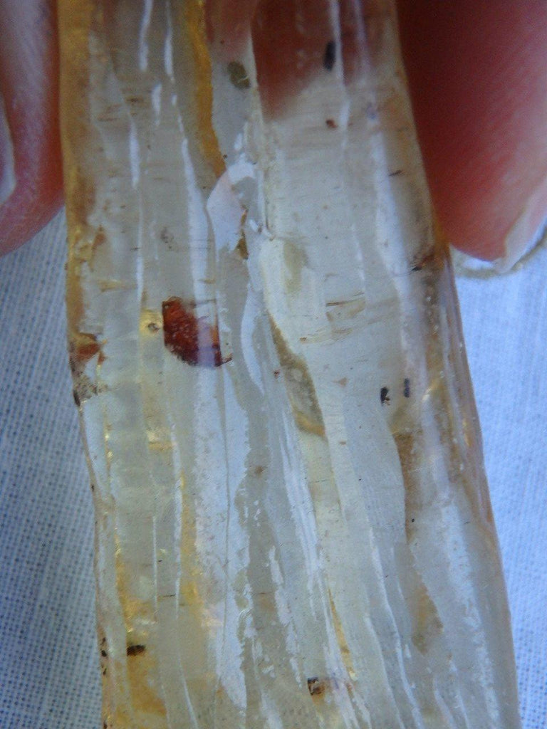 Bug Inclusions~ Golden Colombian Amber Specimen 1 - Earth Family Crystals
