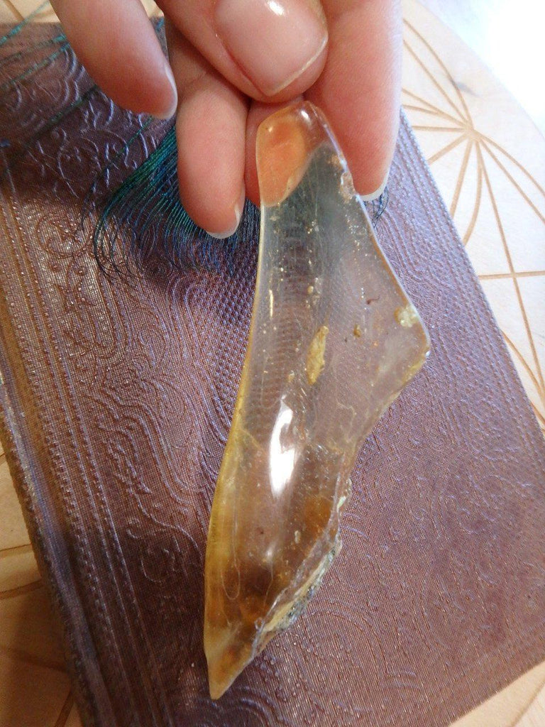 Bug Inclusions! Golden Colombian Amber Specimen 2 - Earth Family Crystals