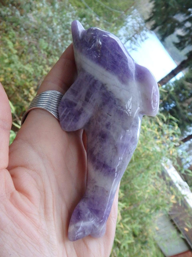 Large Adorable Purple Chevron Amethyst Dolphin Carving - Earth Family Crystals