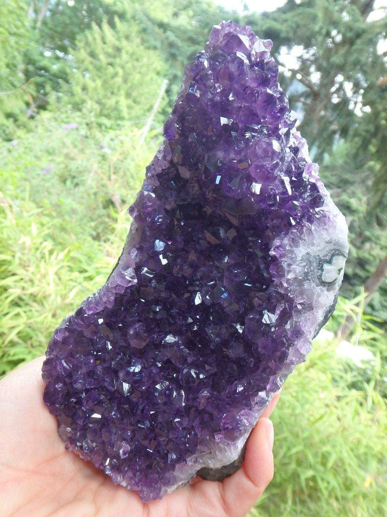 AA Grade~Extremely Brilliant Large Uruguay Amethyst Standing Display Specimen - Earth Family Crystals