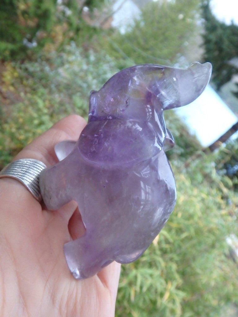 Brilliant Purple Amethyst Elephant Carving - Earth Family Crystals