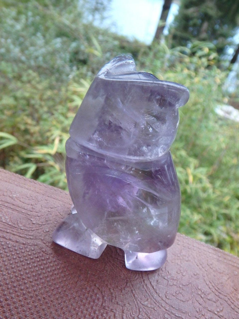Incredible Purple Amethyst Owl Carving - Earth Family Crystals